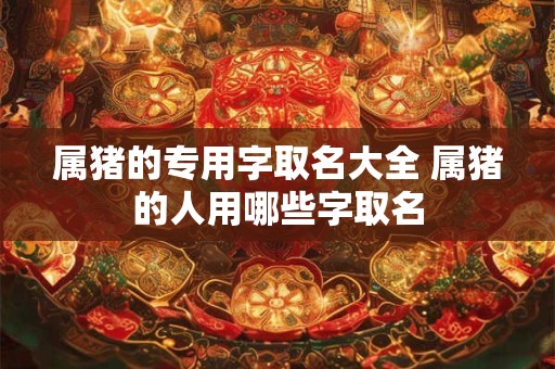 属猪的专用字取名大全 属猪的人用哪些字取名