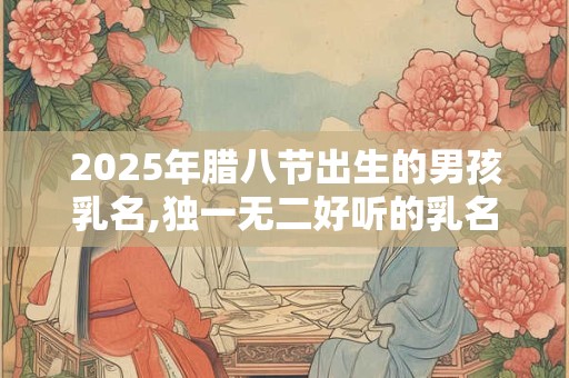 2025年腊八节出生的男孩乳名,独一无二好听的乳名