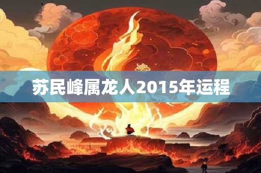 苏民峰属龙人2015年运程