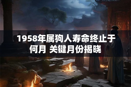详细阅读:1958年属狗人寿命终止于何月 关键月份揭晓 1958年属狗人寿命终止于何月 关键月份揭晓