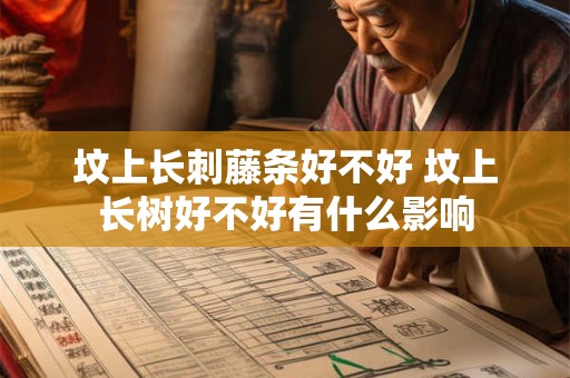 坟上长刺藤条好不好 坟上长树好不好有什么影响