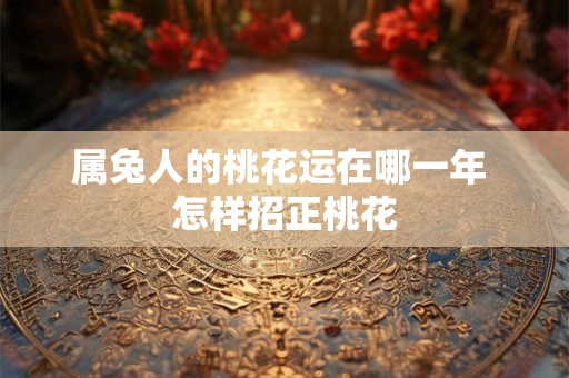 属兔人的桃花运在哪一年 怎样招正桃花
