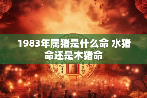 1983年属猪是什么命 水猪命还是木猪命