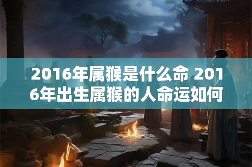 2016年属猴是什么命 2016年出生属猴的人命运如何