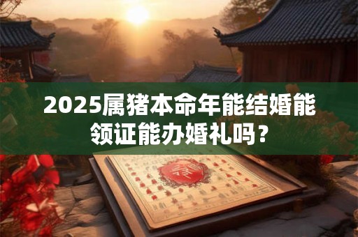 2025属猪本命年能结婚能领证能办婚礼吗? 2025属猪本命年能结婚能领证能办婚礼吗?