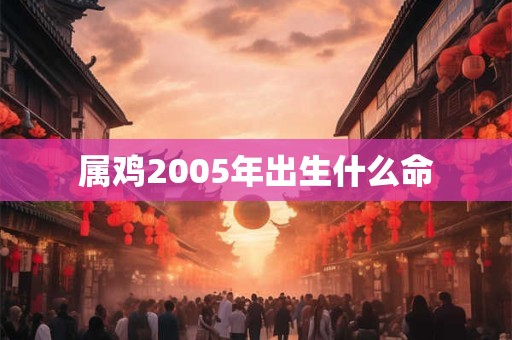 属鸡2005年出生什么命