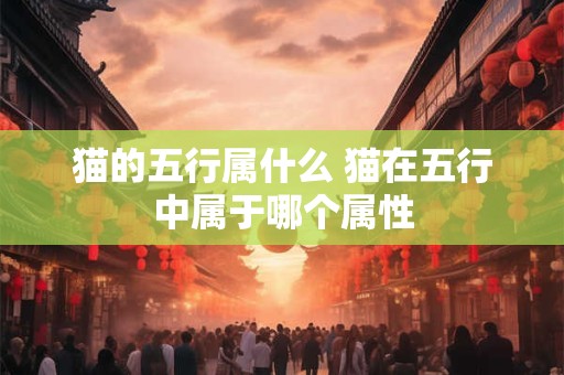 猫的五行属什么 猫在五行中属于哪个属性
