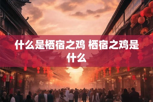 什么是栖宿之鸡 栖宿之鸡是什么