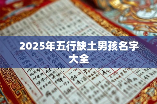 2025年五行缺土男孩名字大全