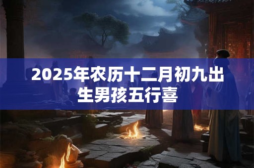 2025年农历十二月初九出生男孩五行喜
