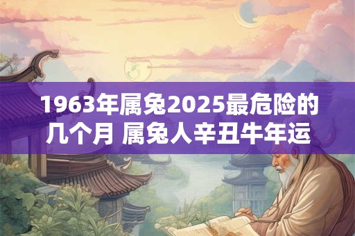 1963年属兔2025最危险的几个月 属兔人辛丑牛年运势