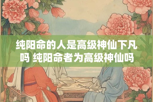 纯阳命的人是高级神仙下凡吗 纯阳命者为高级神仙吗