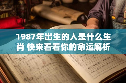 1987年出生的人是什么生肖 快来看看你的命运解析