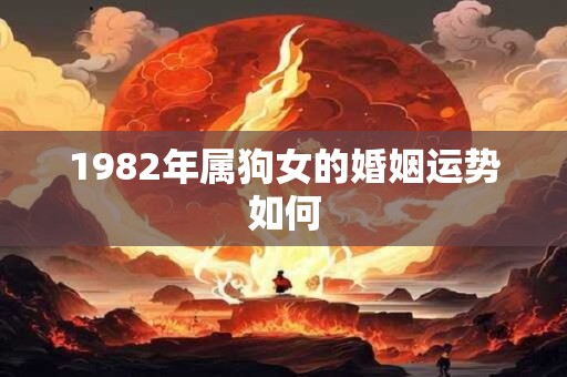 1982年属狗女的婚姻运势如何
