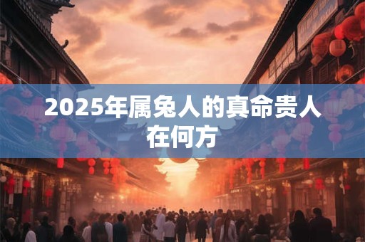 2025年属兔人的真命贵人在何方