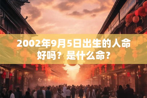 2002年9月5日出生的人命好吗？是什么命？