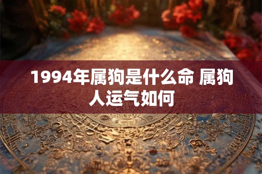 1994年属狗是什么命 属狗人运气如何