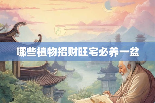 哪些植物招财旺宅必养一盆 哪些植物招财旺宅必养一盆
