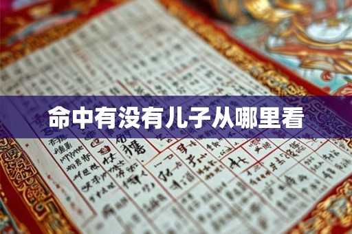 命中有没有儿子从哪里看