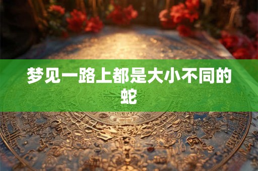 梦见一路上都是大小不同的蛇