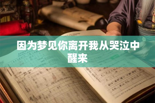 因为梦见你离开我从哭泣中醒来
