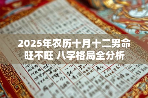 2025年农历十月十二男命旺不旺 八字格局全分析