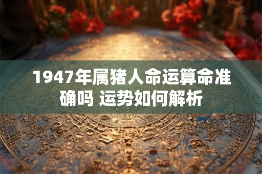 详细阅读:1947年属猪人命运算命准确吗 运势如何解析 1947年属猪人命运算命准确吗 运势如何解析