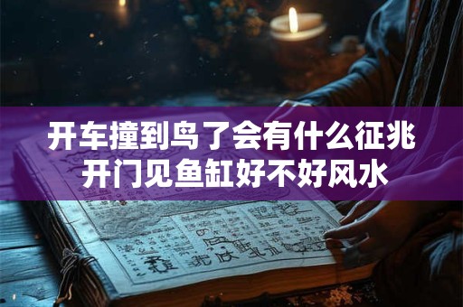 开车撞到鸟了会有什么征兆 开门见鱼缸好不好风水