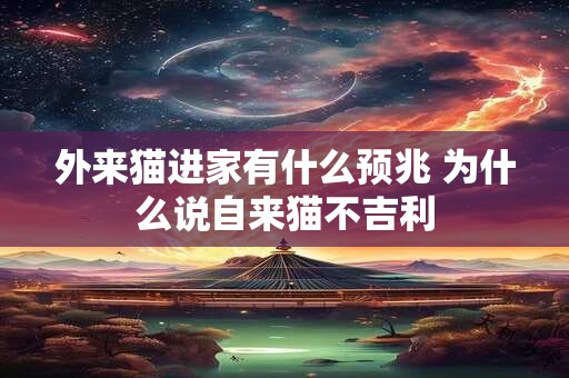 外来猫进家有什么预兆 为什么说自来猫不吉利