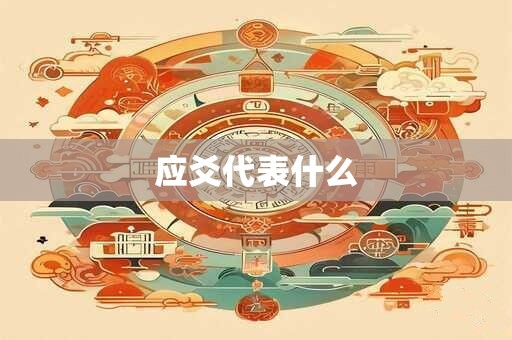 应爻代表什么