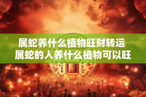 属蛇养什么植物旺财转运 属蛇的人养什么植物可以旺财转运
