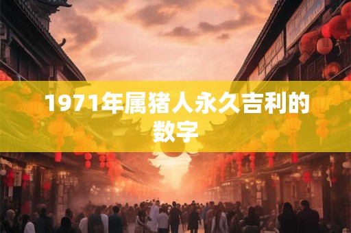 1971年属猪人永久吉利的数字