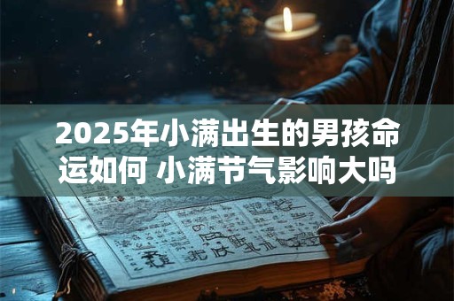 2025年小满出生的男孩命运如何 小满节气影响大吗