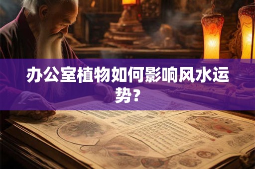 办公室植物如何影响风水运势？