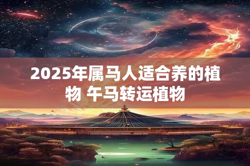 2025年属马人适合养的植物 午马转运植物