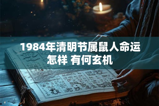 1984年清明节属鼠人命运怎样 有何玄机