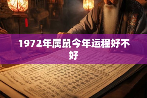 1972年属鼠今年运程好不好