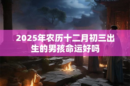 2025年农历十二月初三出生的男孩命运好吗
