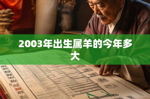 2003年出生属羊的今年多大
