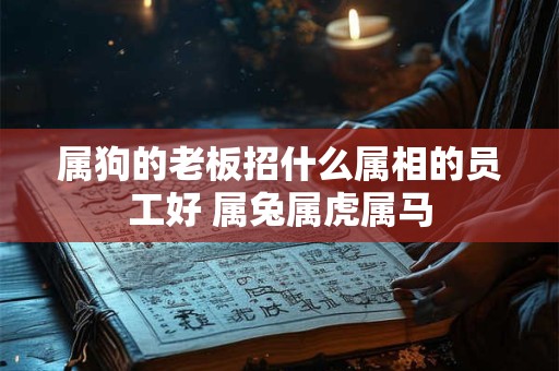 属狗的老板招什么属相的员工好 属兔属虎属马