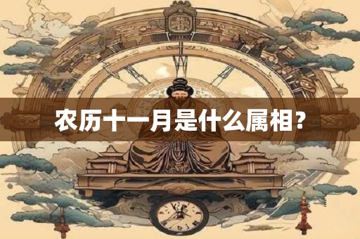 农历十一月是什么属相？