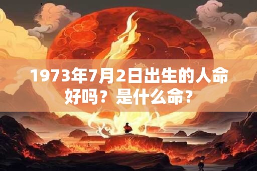 1973年7月2日出生的人命好吗？是什么命？