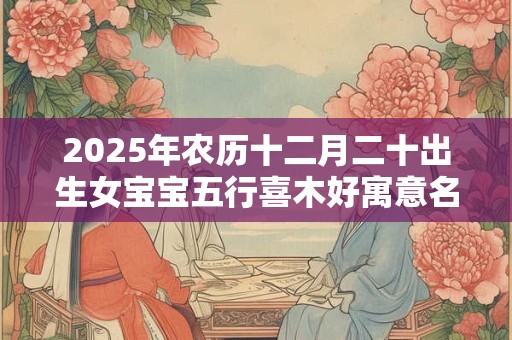 2025年农历十二月二十出生女宝宝五行喜木好寓意名字