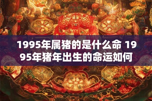1995年属猪的是什么命 1995年猪年出生的命运如何