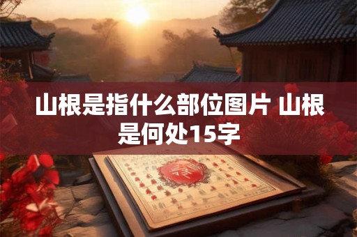 山根是指什么部位图片 山根是何处15字