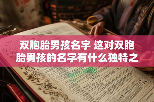 双胞胎男孩名字 这对双胞胎男孩的名字有什么独特之处