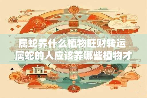 属蛇养什么植物旺财转运 属蛇的人应该养哪些植物才能旺财转运
