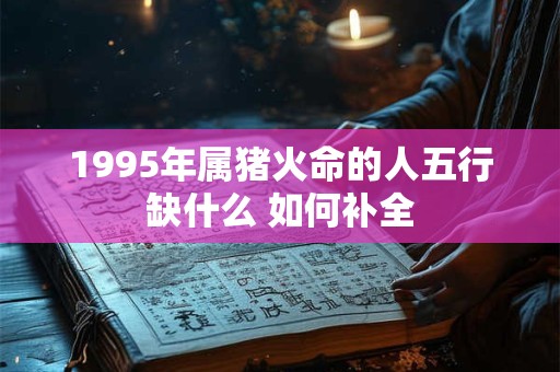 1995年属猪火命的人五行缺什么 如何补全