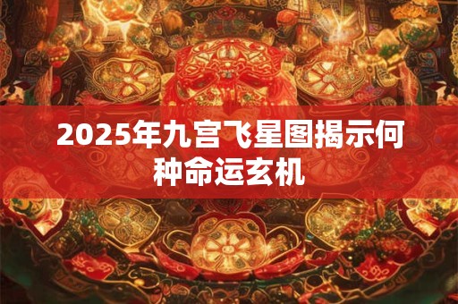 2025年九宫飞星图揭示何种命运玄机