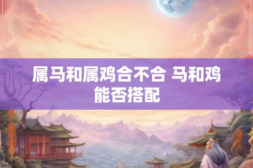 属马和属鸡合不合 马和鸡能否搭配